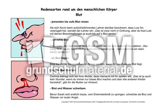 Kartei-Redensarten-Blut.pdf